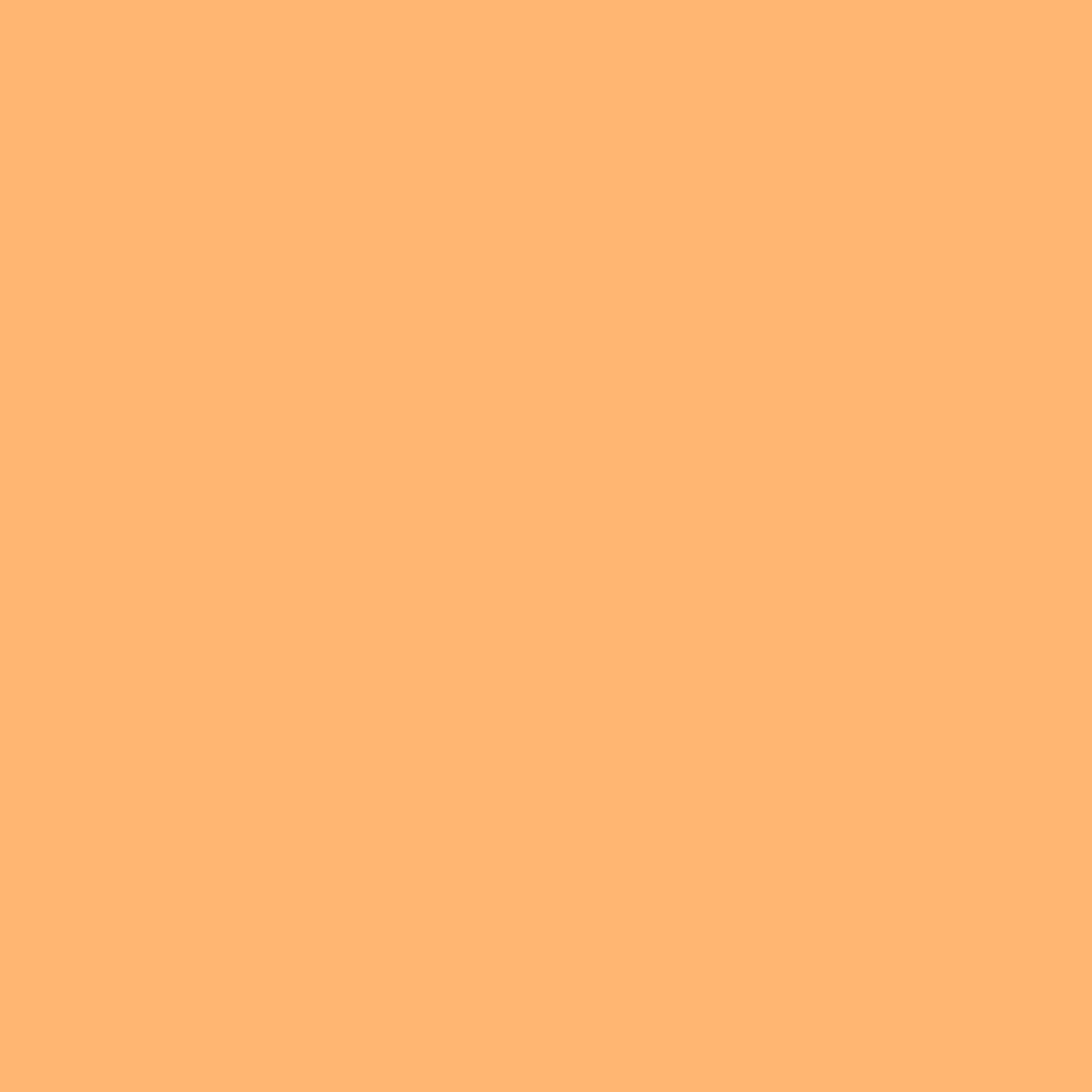 Bambu PLA Pure Apricot printed sample with RFID mark